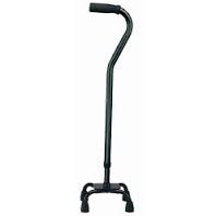 REVOLUTION MOBILITY CANE